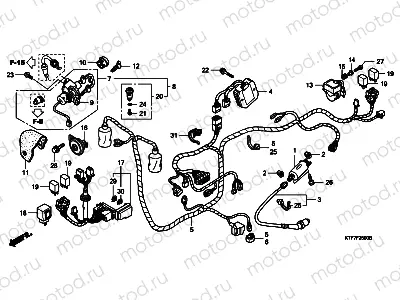 F-25 WIRE HARNESS