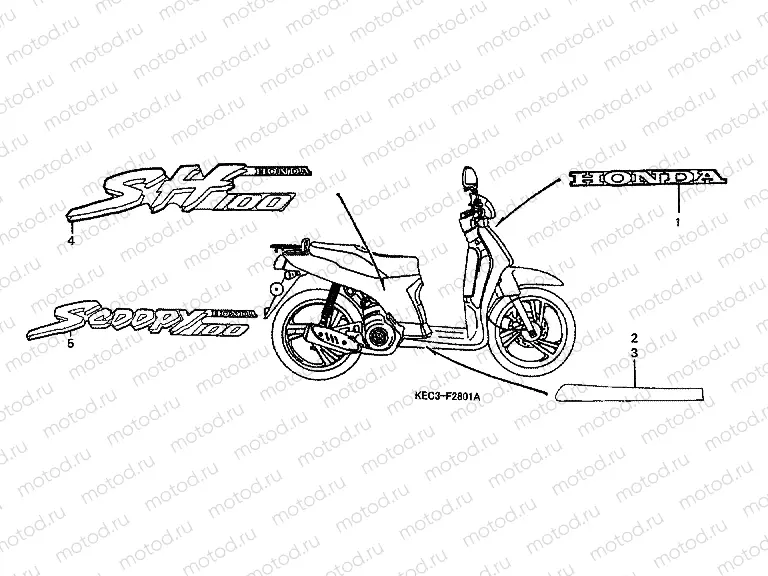 F-28-1 SIGN / STRIP (2)