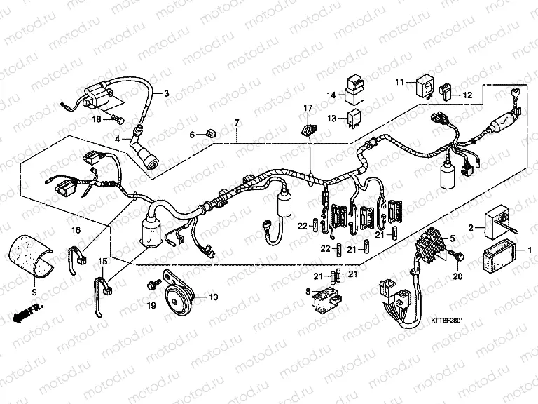 F-28-1 WIRING HARNESS (CBF150SHA)