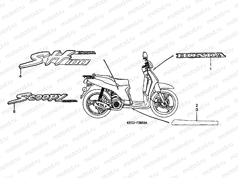 F-28 SIGN / STRIP (1)