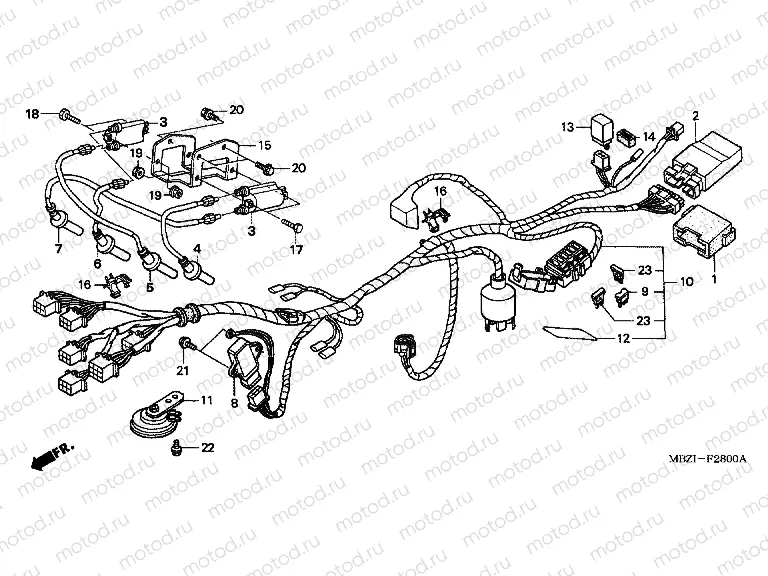 F-28 WIRING HARNESS (CB600F2)