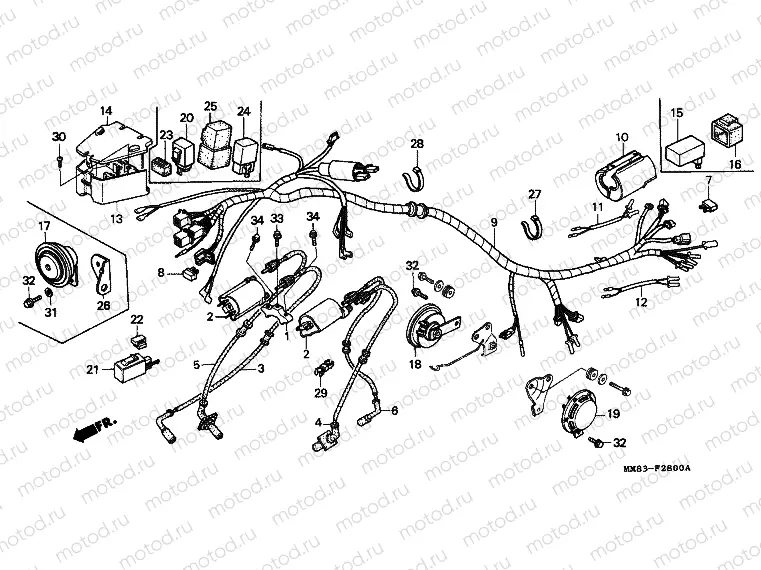 F-28 WIRING HARNESS / IGNITION COIL