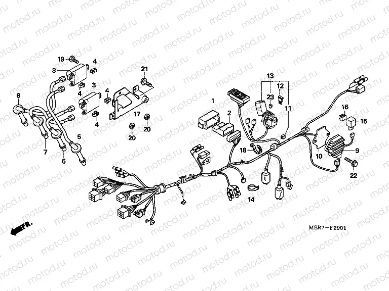 F-29-1 WIRING HARNESS (CBF600N6 / NA6)