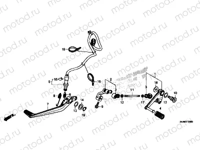 F-29 PEDAL