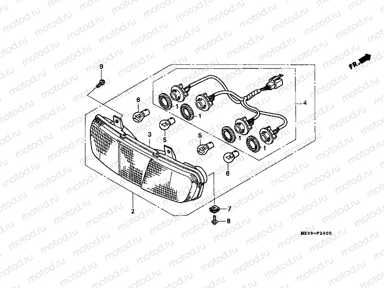 F-29 REAR COMBINATION LAMP
