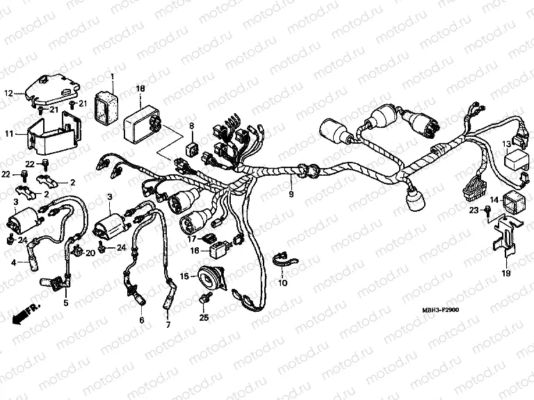 F-29 WIRING HARNESS (1)