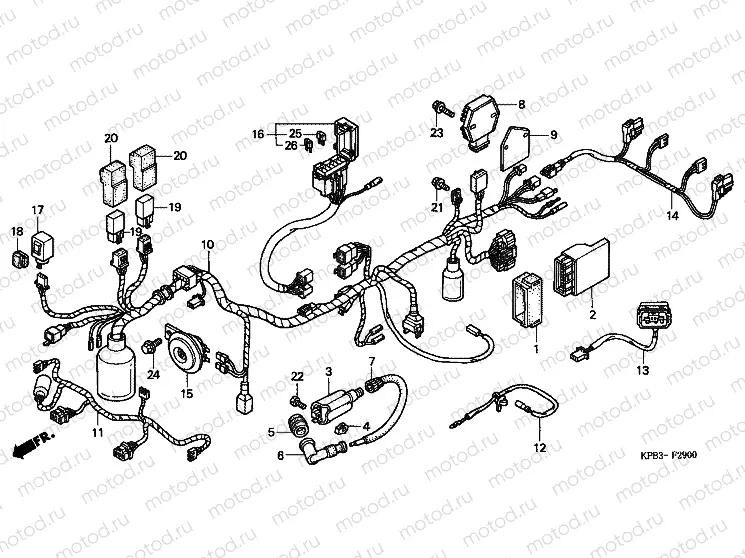 F-29 WIRING HARNESS (NSS2501)
