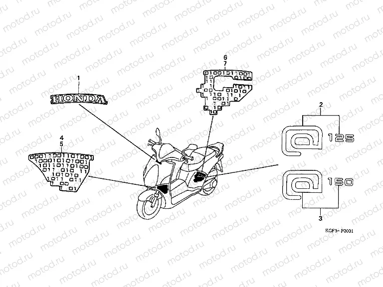 F-30-1 SIGN / STRIP (5E / 5ED / 5F)