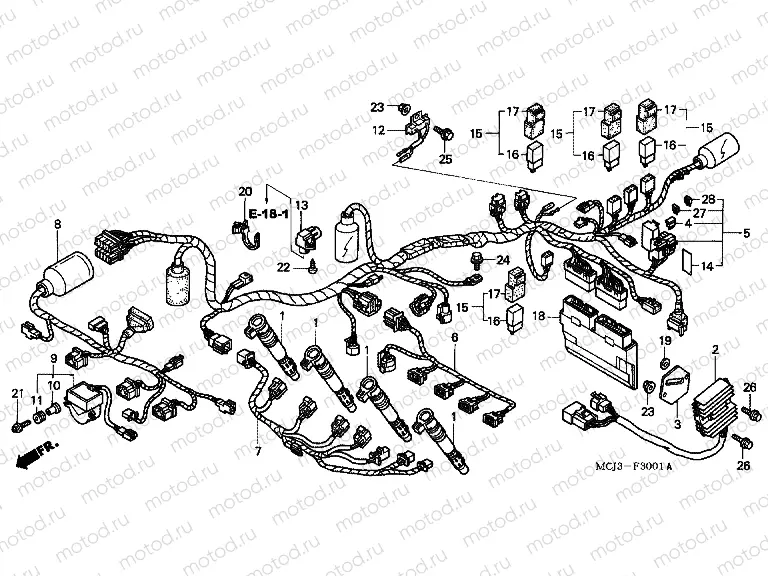 F-30-1 WIRING HARNESS (CBR900RR2,3)