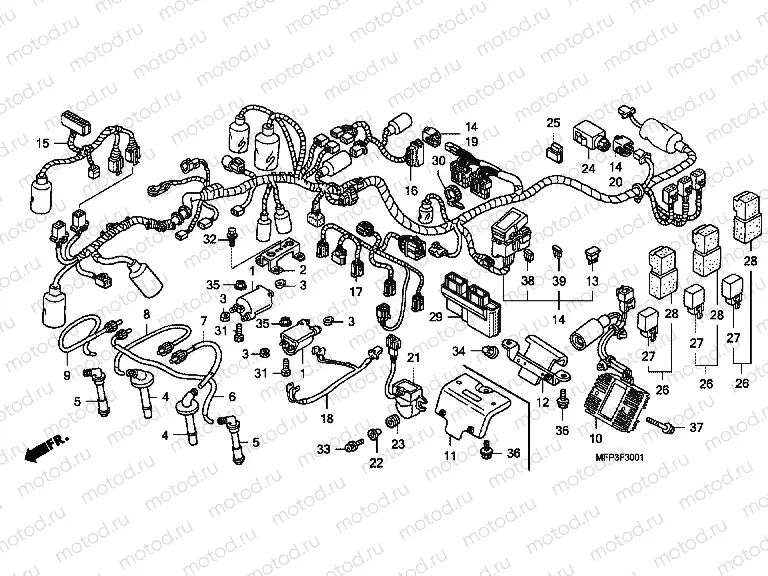 F-30-1 WIRING HARNESS / IGNITION COIL (CB1300S / CB1300SA)