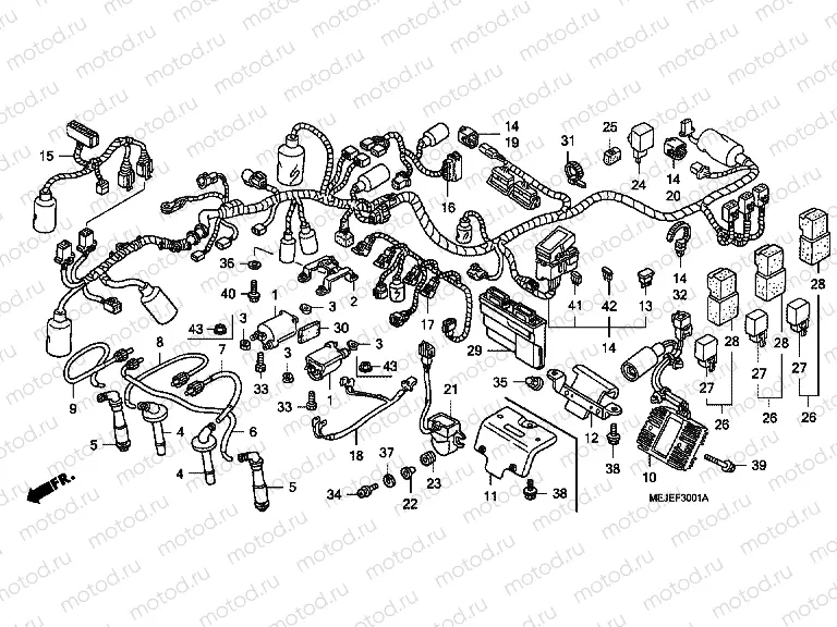F-30-1 WIRING HARNESS / IGNITION COIL (CB1300S / SA)