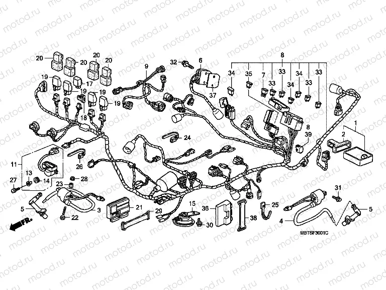 F-30-1 WIRING HARNESS (XL1000VA)