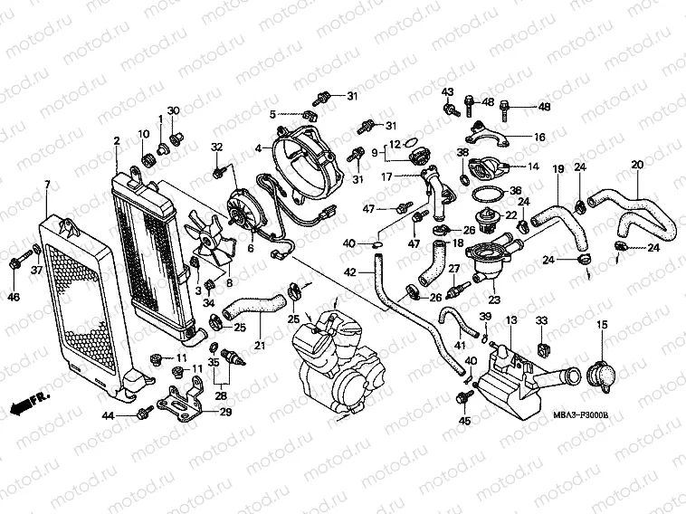 F-30 RADIATOR