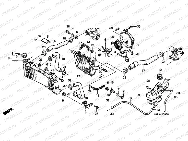 F-30 RADIATOR