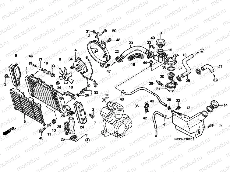 F-30 RADIATOR