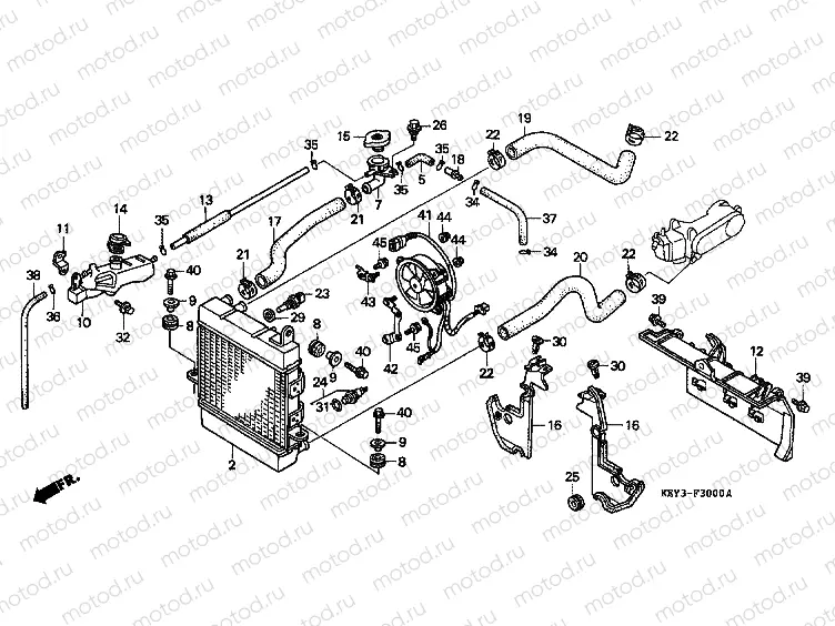 F-30 RADIATOR