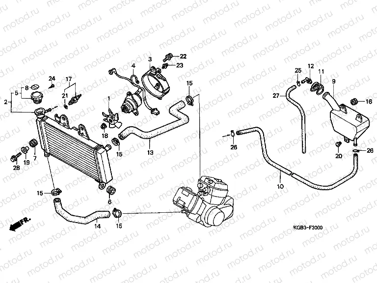 F-30 RADIATOR