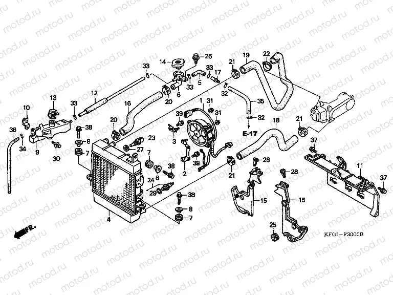 F-30 RADIATOR