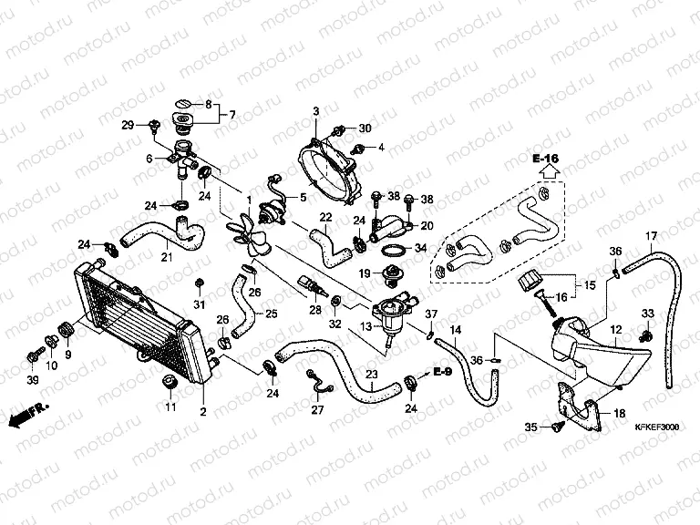 F-30 RADIATOR