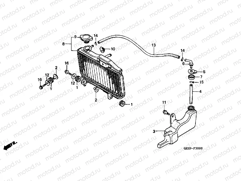 F-30 RADIATOR