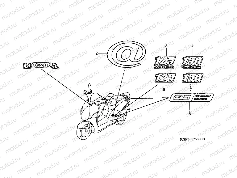 F-30 SIGN / STRIP (E / ED / F / 2E / 2ED / 2F)