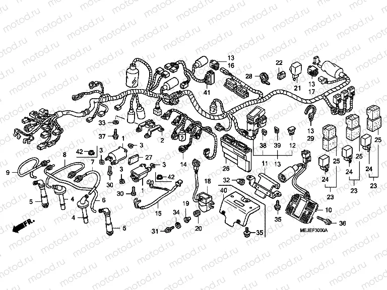 F-30 WIRING HARNESS / IGNITION COIL (CB1300 / A)