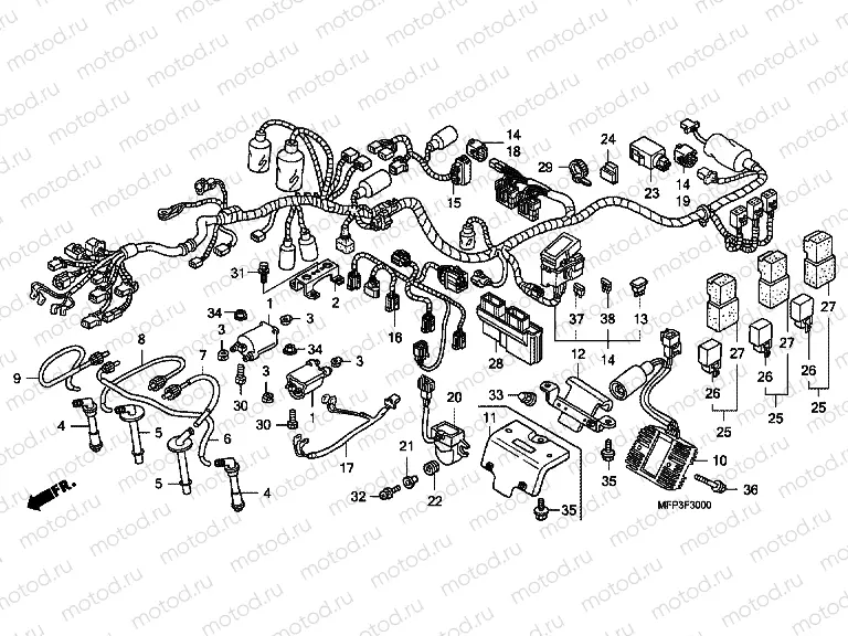 F-30 WIRING HARNESS / IGNITION COIL (CB1300 / CB1300A)