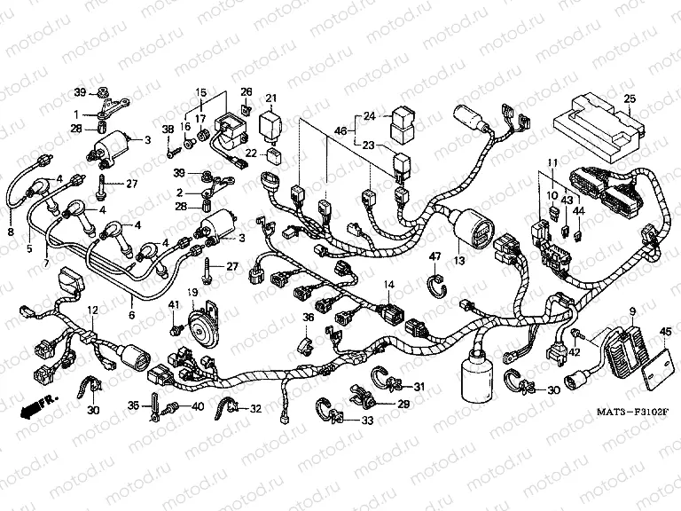 F-31-2 WIRING HARNESS (1/2/3/4)