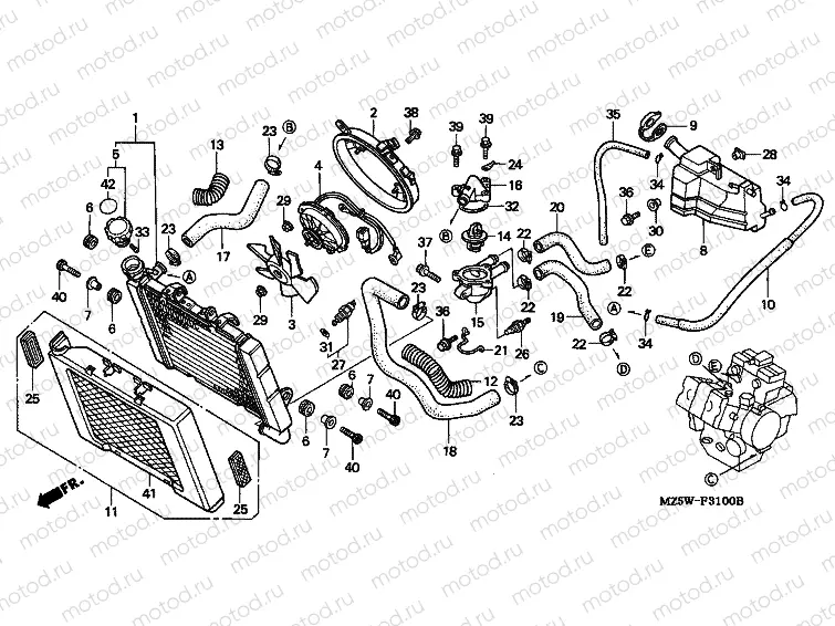 F-31 RADIATOR