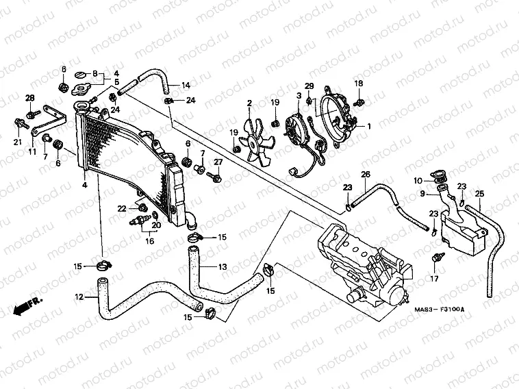 F-31 RADIATOR