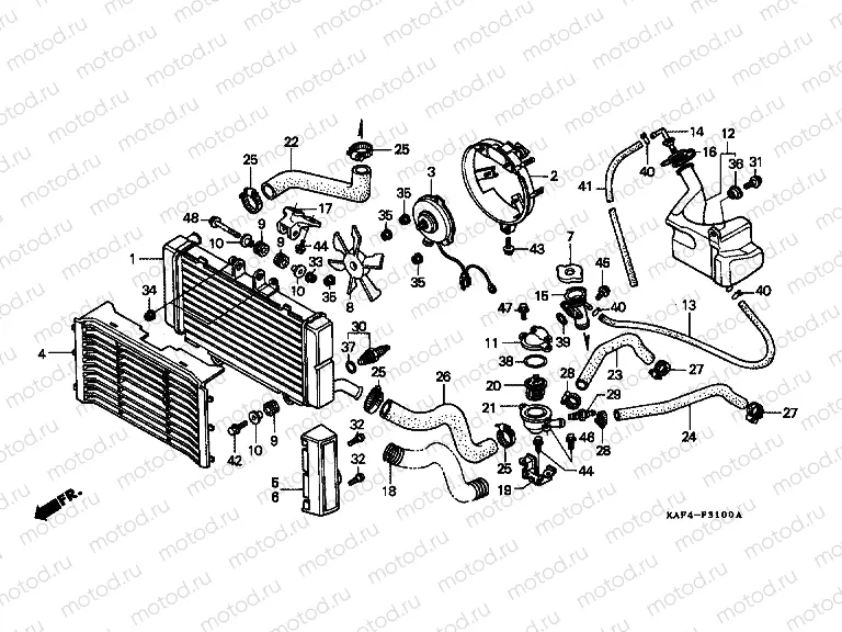 F-31 RADIATOR