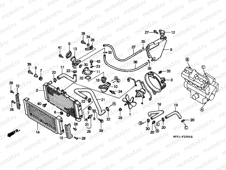 F-31 RADIATOR