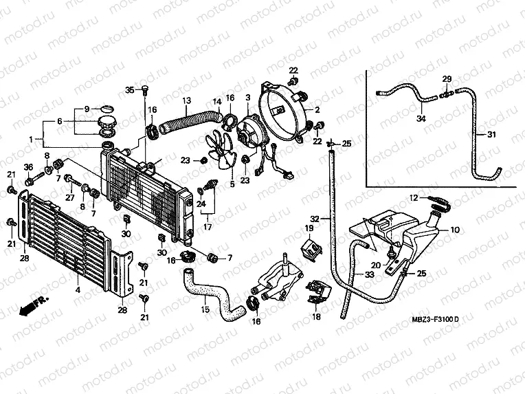 F-31 RADIATOR