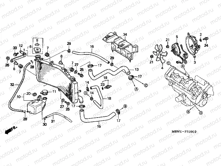 F-31 RADIATOR