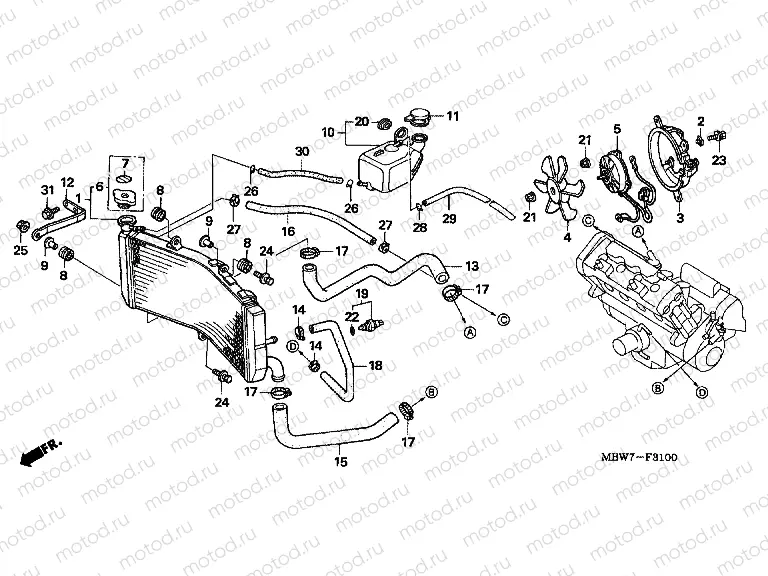 F-31 RADIATOR