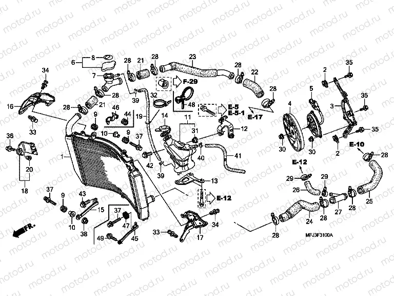 F-31 RADIATOR