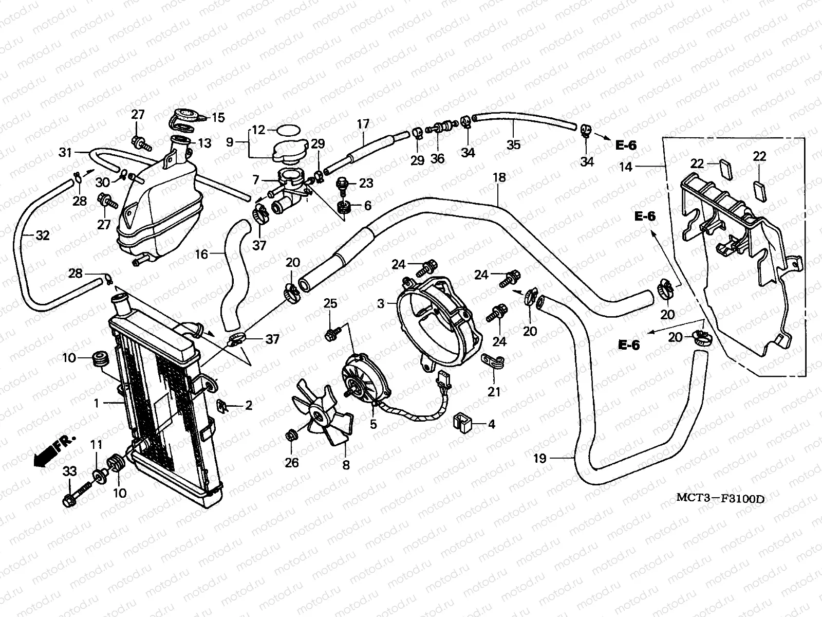 F-31 RADIATOR