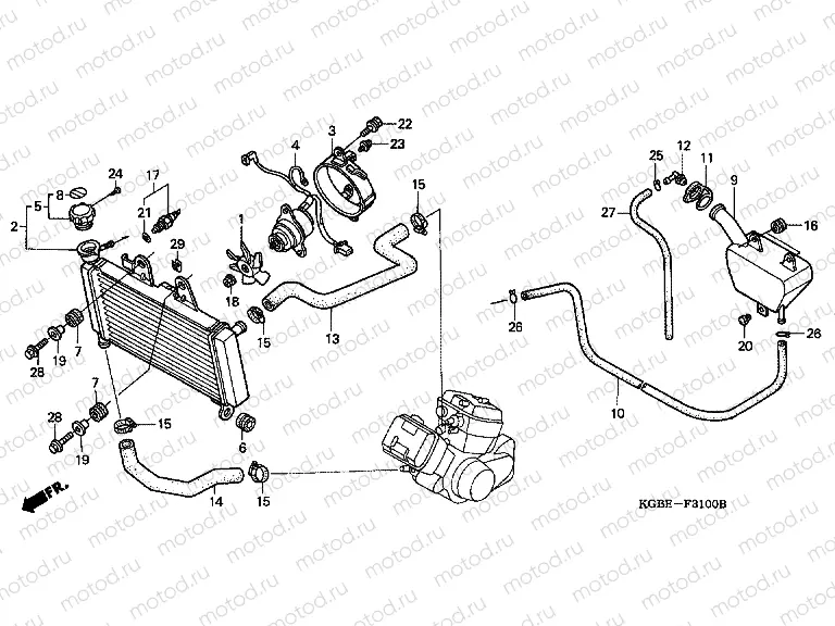 F-31 RADIATOR