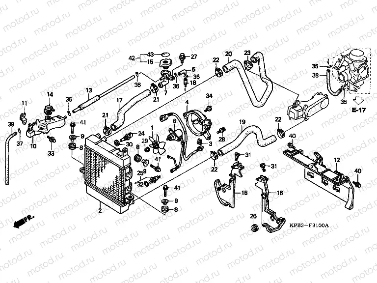 F-31 RADIATOR