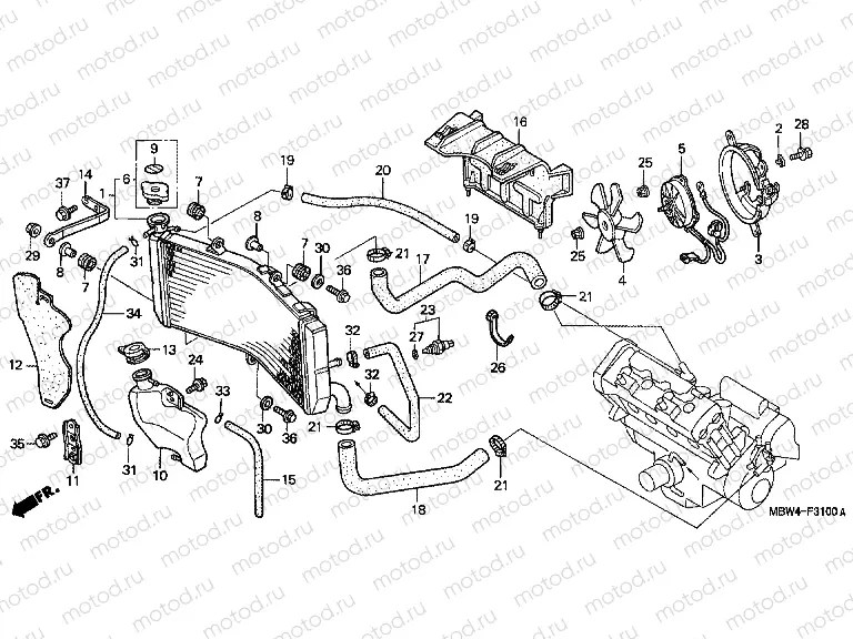 F-31 RADIATOR (99 / 00)