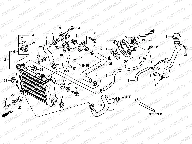F-31 RADIATOR (CBR125R / RS / RW5 / RW6 / RW8)