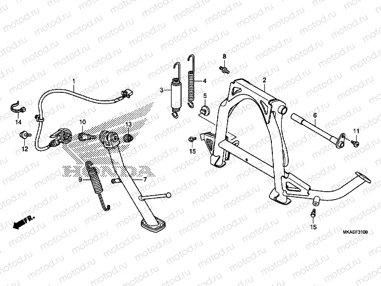 F-31 STAND