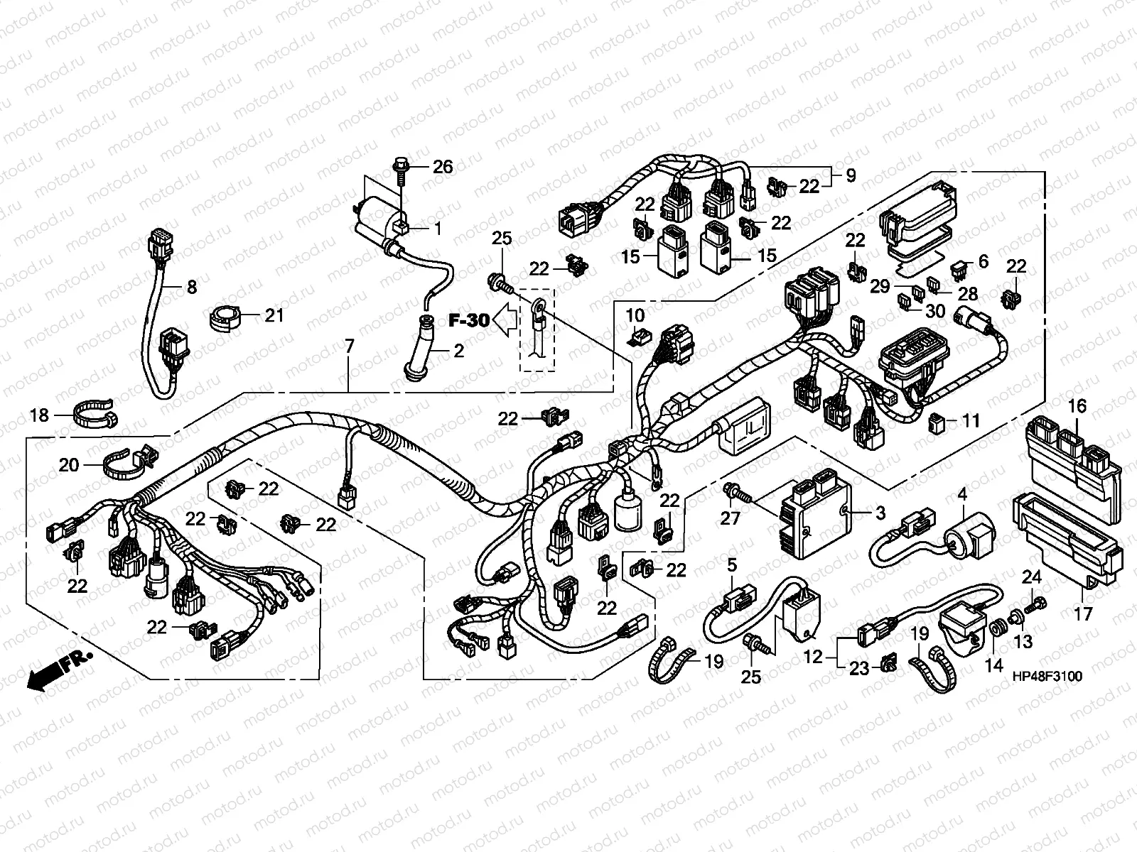 F-31 WIRE HARNESS