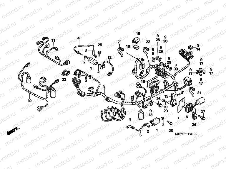F-31 WIRING HARNESS / IGNITION COIL