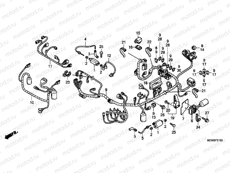 F-31 WIRING HARNESS / IGNITION COIL