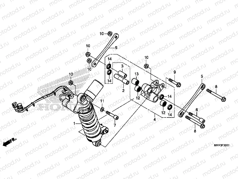 F-33-1 REAR CUSHION (OHLINS)
