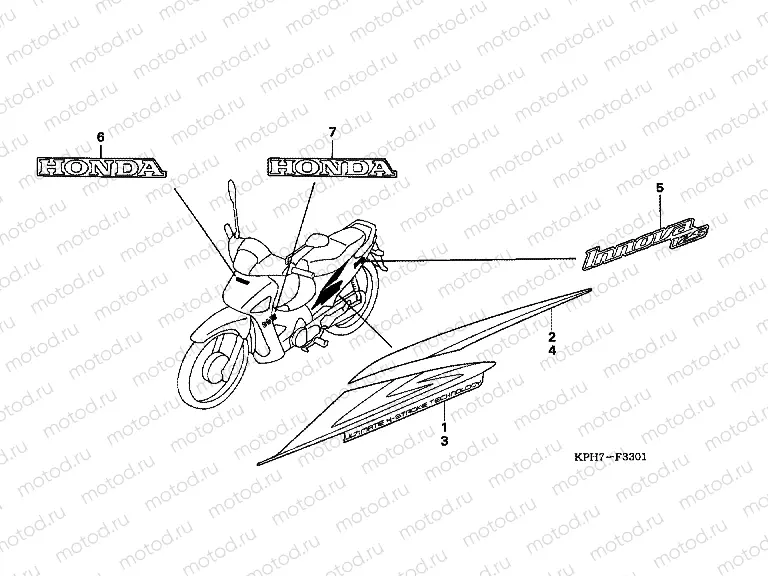 F-33-1 STRIP / SIGNAL (ANF125T5 / T6)