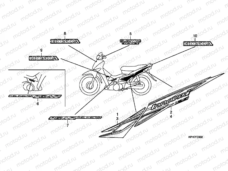 F-33-2 STRIP / SIGNAL (ANF1257)
