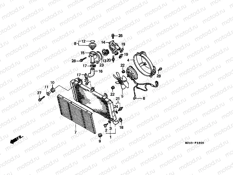 F-33 ​​RADIATOR