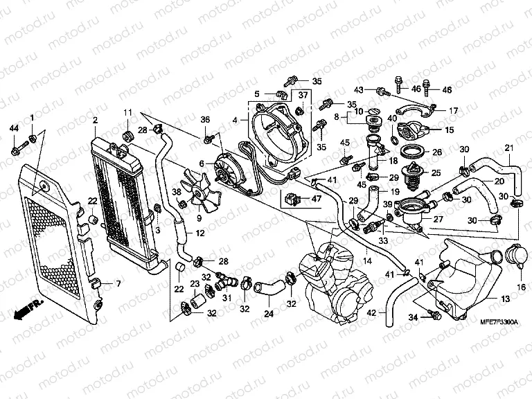 F-33 ​​RADIATOR
